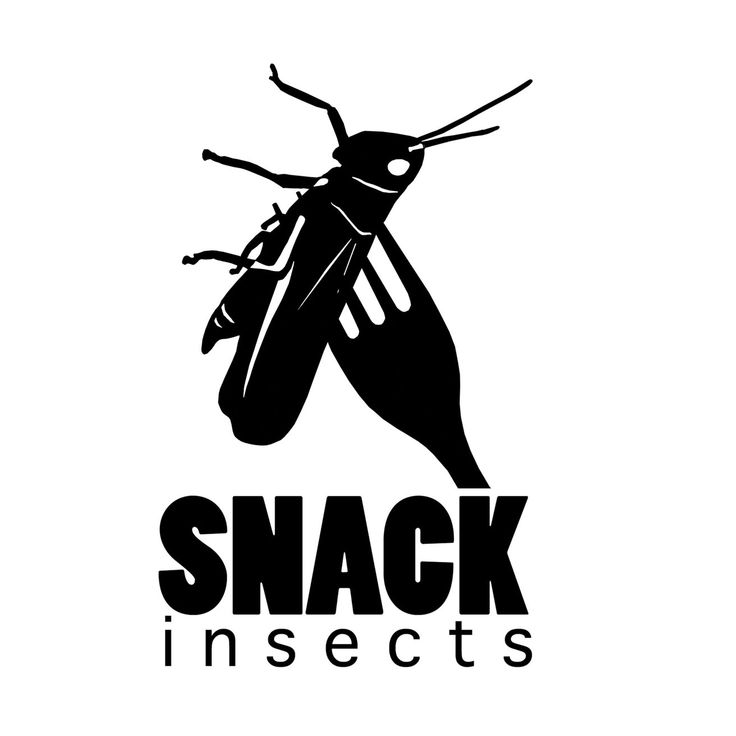 logo Snack insects - insectes comestibles