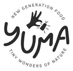 logo Yuma - insectes comestibles